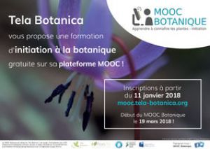 Tela Botanica