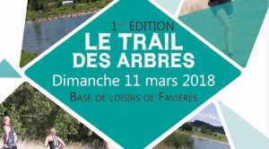 Trail des arbres