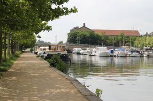 Les Fées du sport