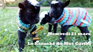 Karaoké au Mc Carthy
