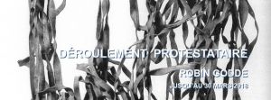 DERnissage de l'installation de Robin Godde