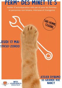Permanence des minet·te·s