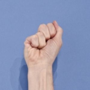 RENCONTRE AVEC JULIEN PRÉVIEUX