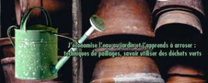 Atelier sur l'eau