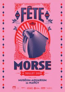 La fête du morse !
