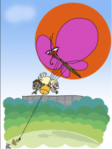 Vu d'en haut