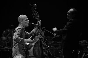Avishai-Cohen_1©Astrid Van der Waren.jpg