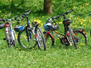 Sortie vélo en famille