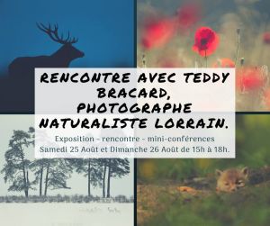 Rencontre avec Teddy Bracard, photographe naturaliste lorrain
