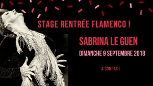 Stage de Flamenco