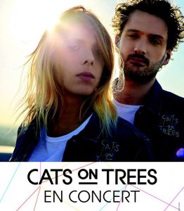 Cats on tree