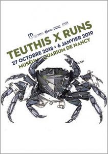 Teuthis x runs