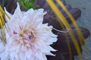Atelier d'IKEBANA -L'art floral japonais