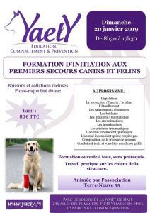Formation d'initiation aux premiers secours canins et felins