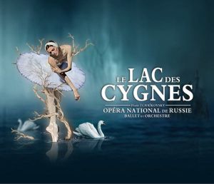 Lac des cygnes