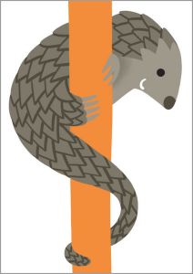 Animations : Des animaux en armure