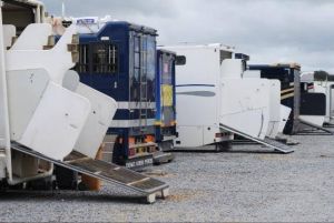 Formation Manipulation, contention et transport de chevaux préalable à l’obtention du CAPTAV*/CCTROV**