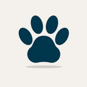 Les empreintes des animaux forestiers