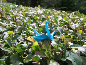 Atelier bricolage: Origami et bricolages aquatiques