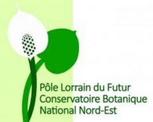 Conservatoire du Jardin Botaniqe