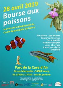 Le cercle aquariophile de Nancy propose une bourse aux poissons au parc de la cure d'aire.jpg