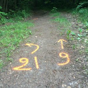 laxou trail