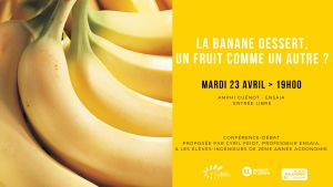 La banane dessert, un fruit comme un autre ?
