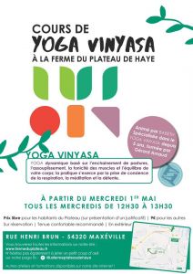 Yoga Vinyasa en plein air