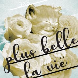 plus belle la vie