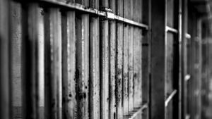 L'enfer des prisons syriennes
