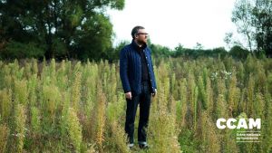 Serge #4 • Jean-Philippe Gross