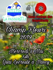 Champs fleuris