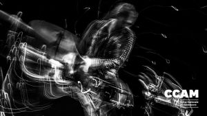 Myotis Triptyque • Anthony Laguerre
