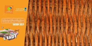 Atelier nature: Tressage en bord de Meurthe