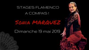 Stage de flamenco