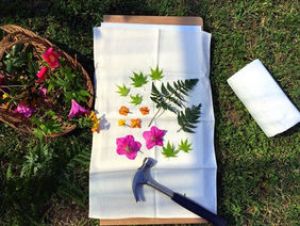 Empreintes de Nature