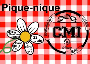 L'AECMI vous invite à un grand pique-nique et à un tournoi de Mölkky