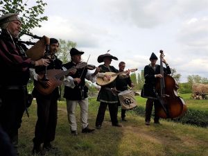Free folk quartet en concert