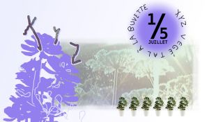 XYZ VEGETAL'ise la Buvette