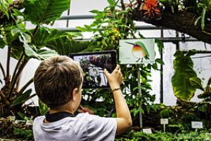 Explorez les serres tropicales en réalité augmentée avec un médiateur !