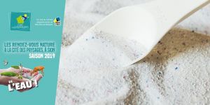 Faire la lessive soi-même.jpg