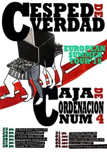 Caja de Ordenación Número 4/ Césped de Verdad