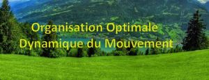Stage Organisation Optimale et Dynamique du Mouvement