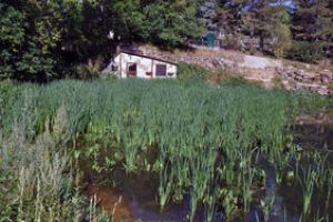 Visite guidée du secteur "Ecosystèmes lorrains"