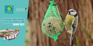 Aider les oiseaux pour l'hiver.