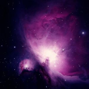 cosmos