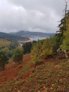 Lac Loween Trail