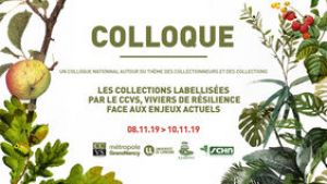 Les collections labellisées par le CCVS, viviers de résilience face aux enjeux actuels