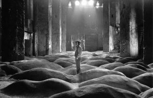 FFA 2019 • "Stalker" de Andreï Tarkovski