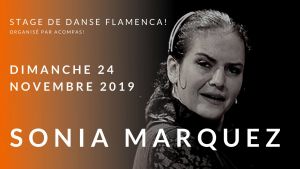 Stage danse flamenca